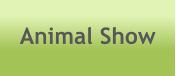 Animal Show