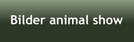 Bilder animal show