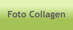 Foto Collagen