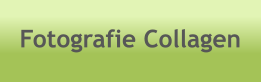 Fotografie Collagen