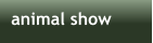 animal show