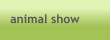 animal show